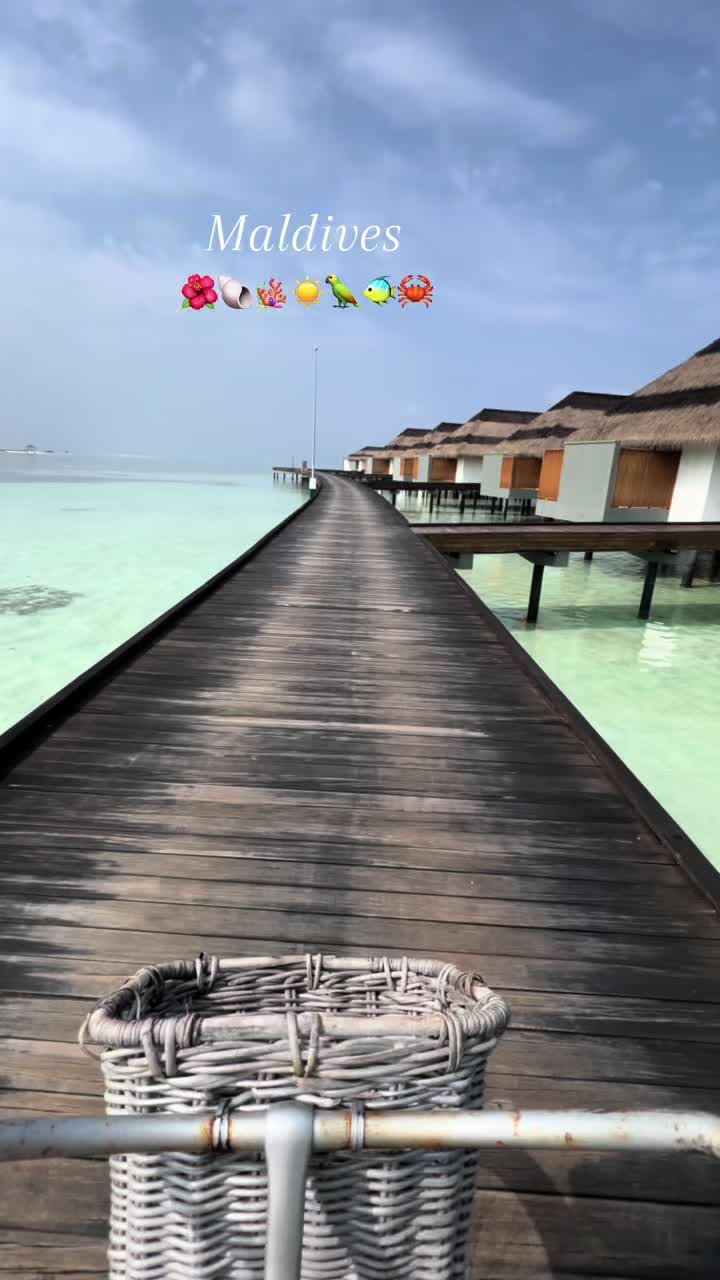 @LJM🦋