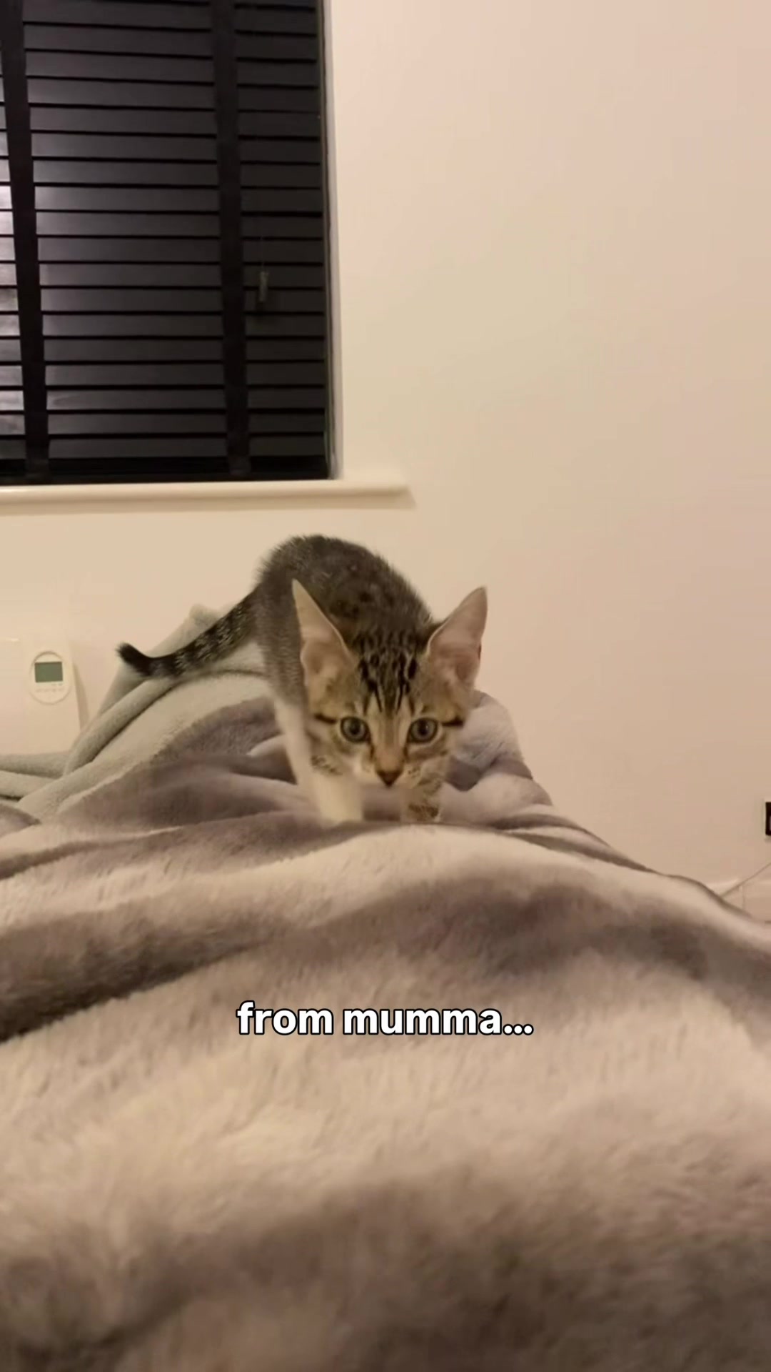 @lola_and_popps