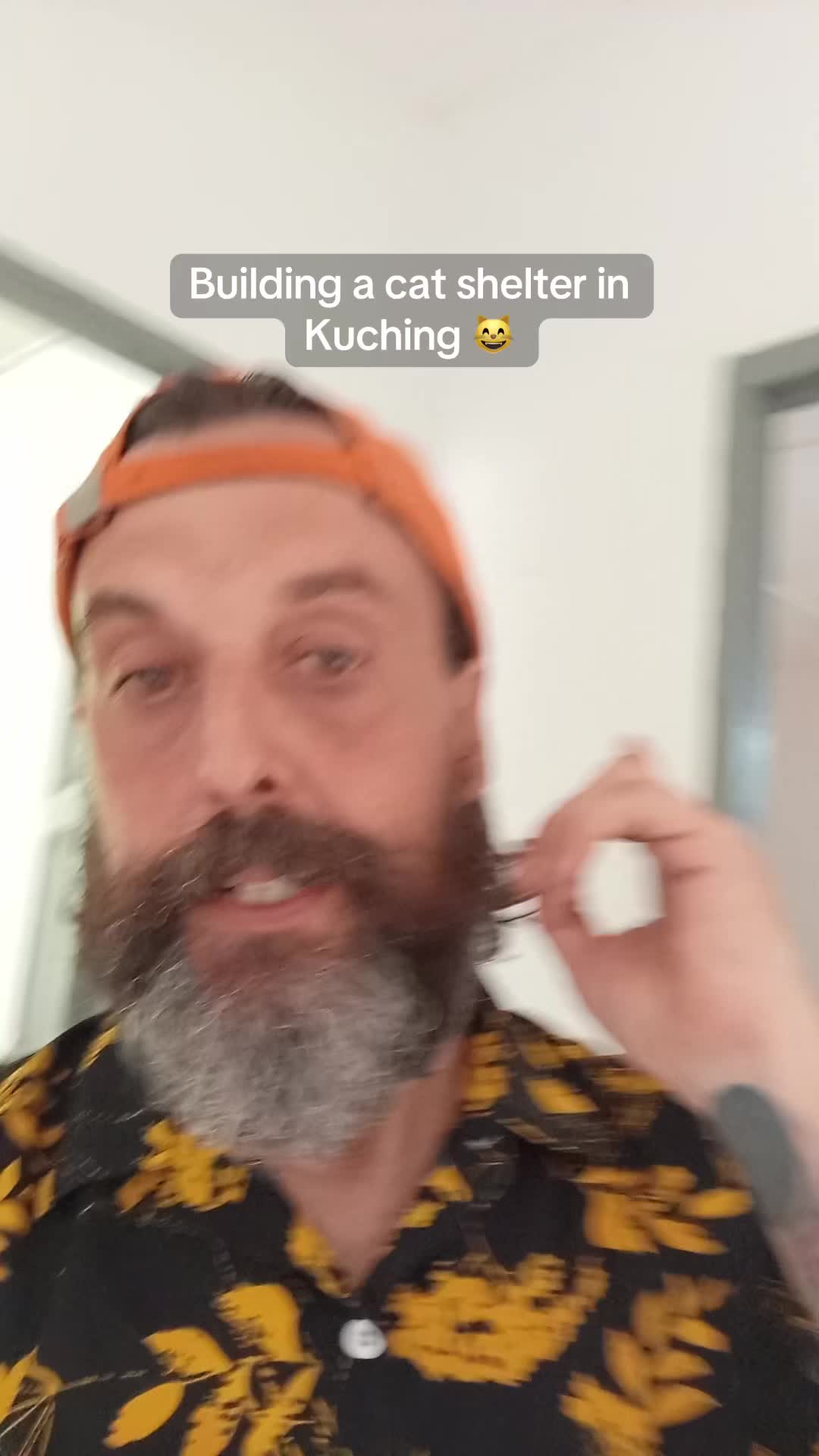 @pawsitivevibeskch