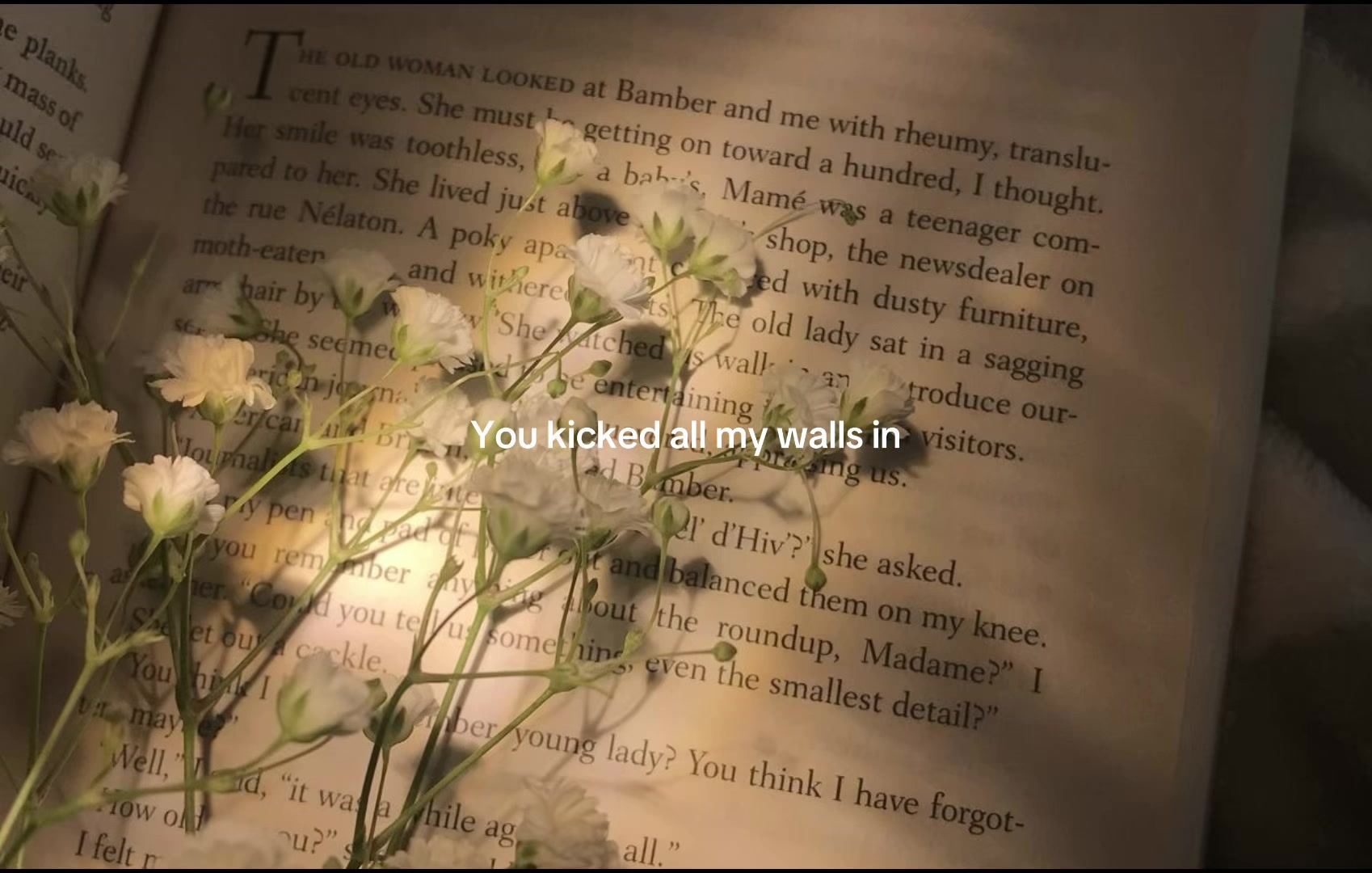 @𝐴𝑛𝑥𝑔𝑒𝑙༄