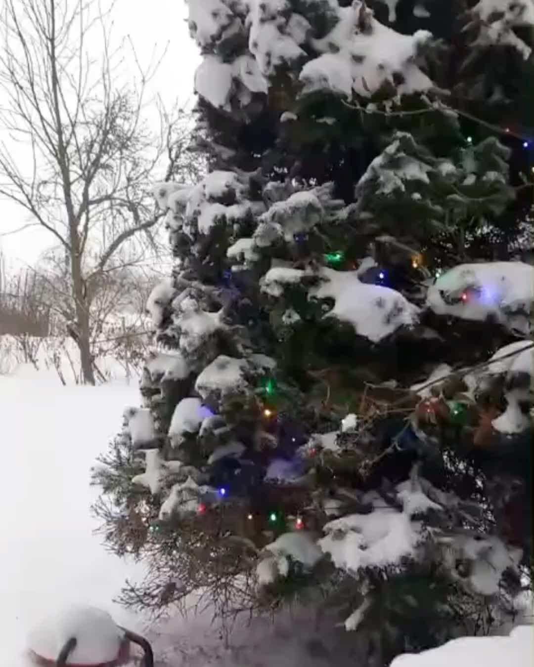@Santa