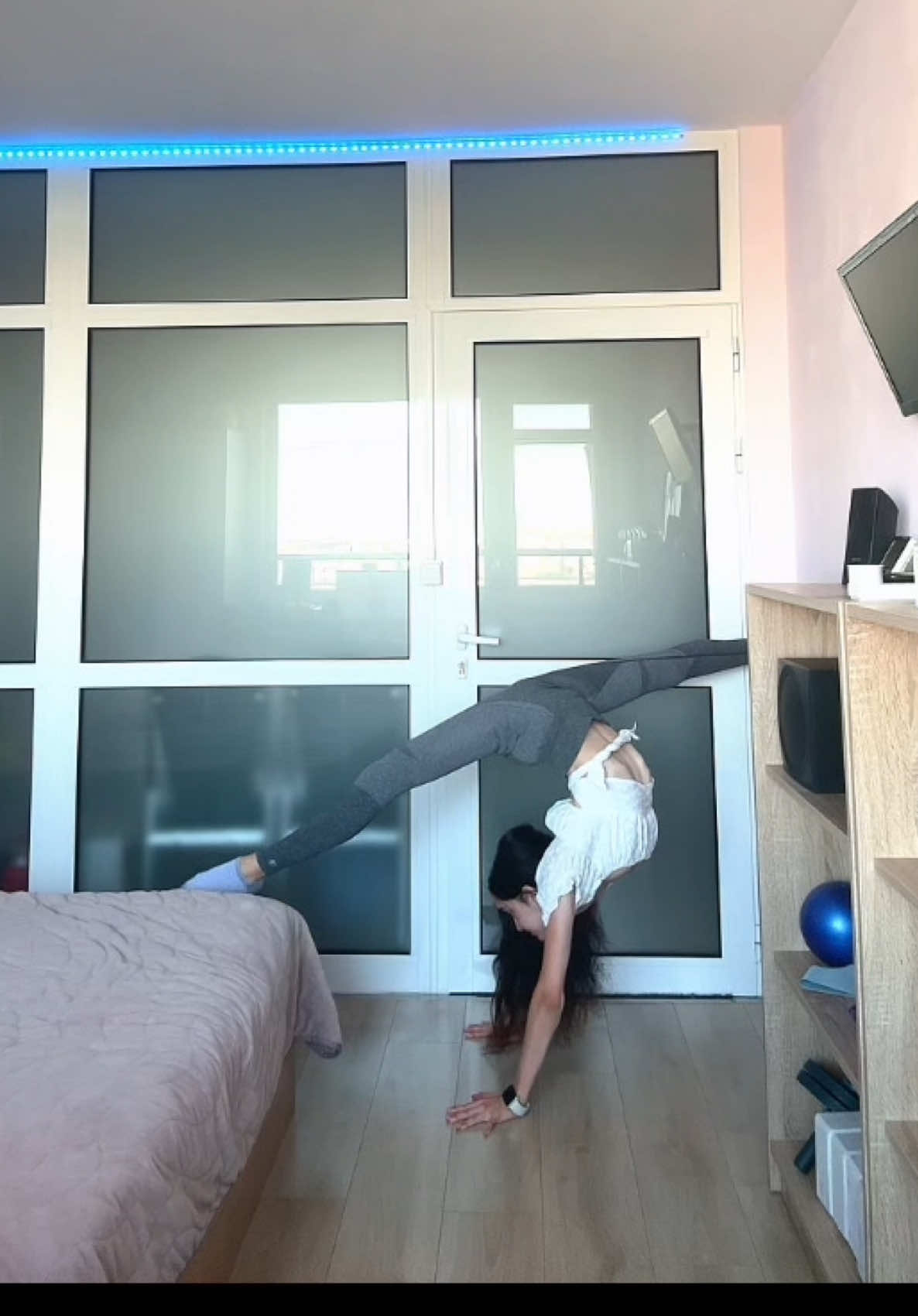@vesi.contortion