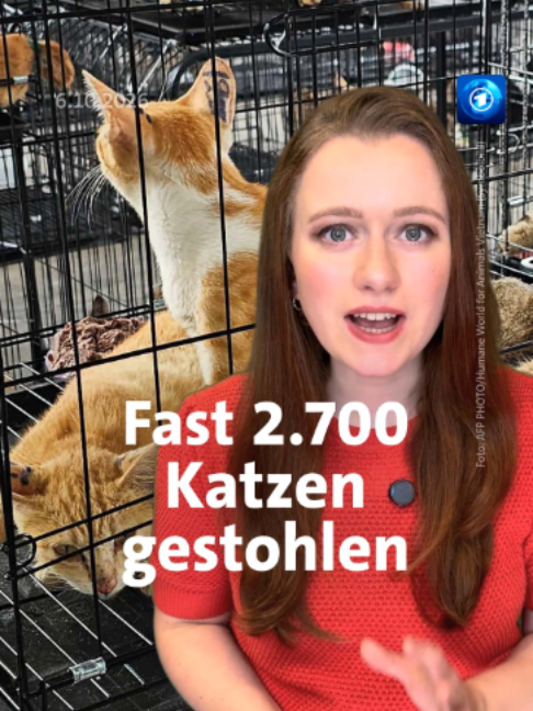 @tagesschau