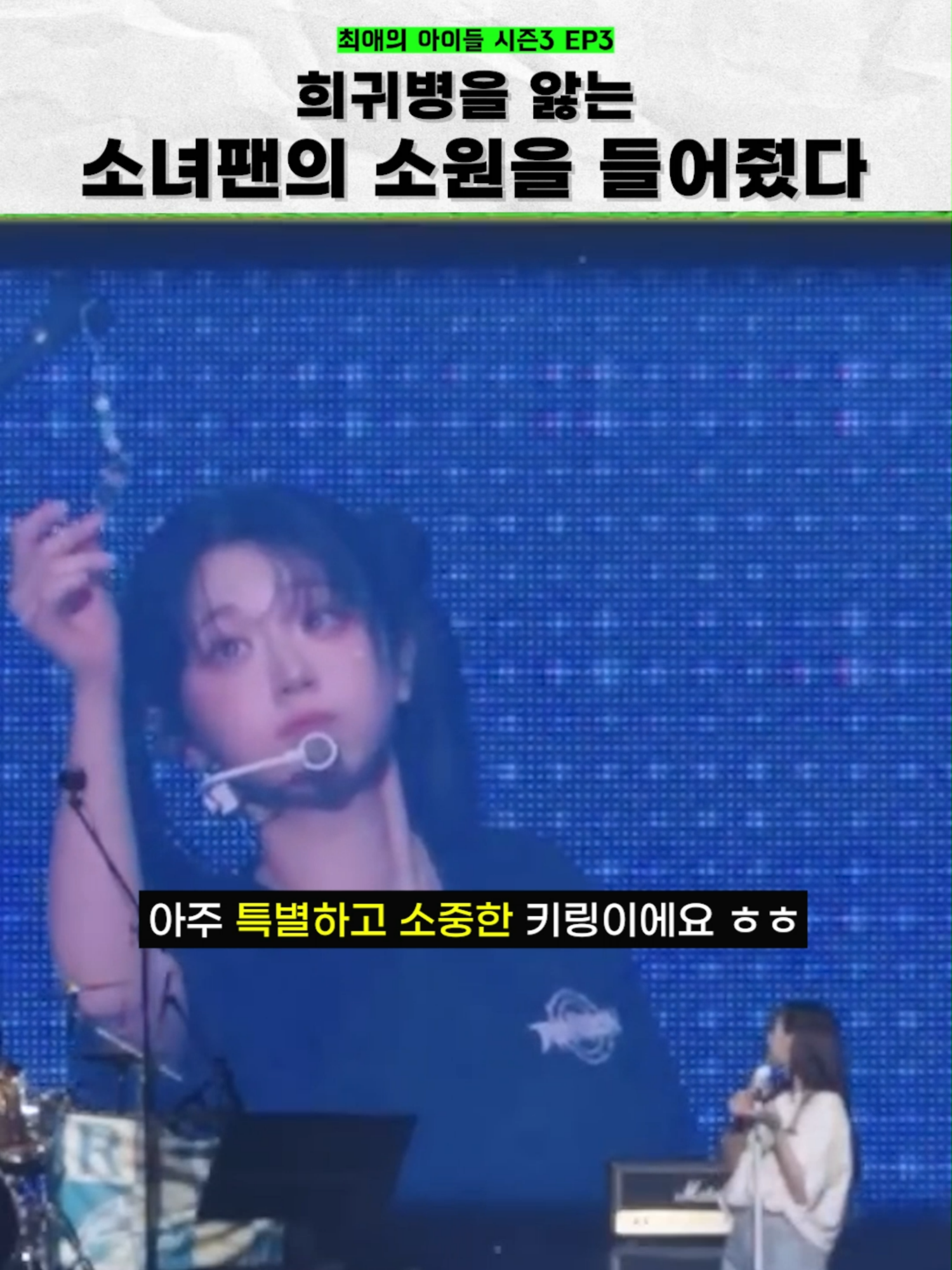 @집게발 아카이브