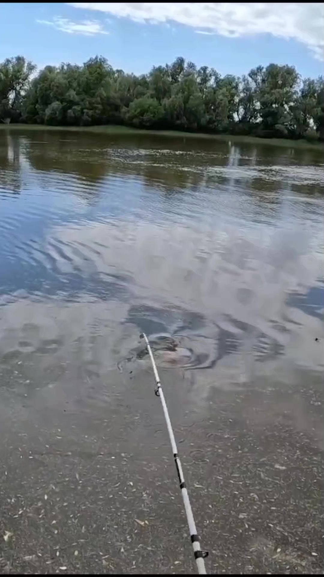 @ribalka_fishing