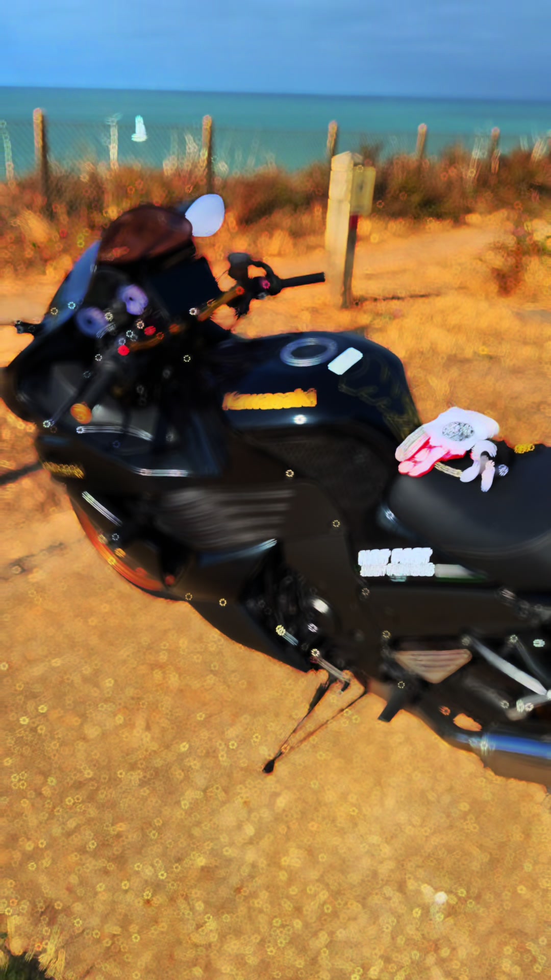 @Bmw1000rrlad