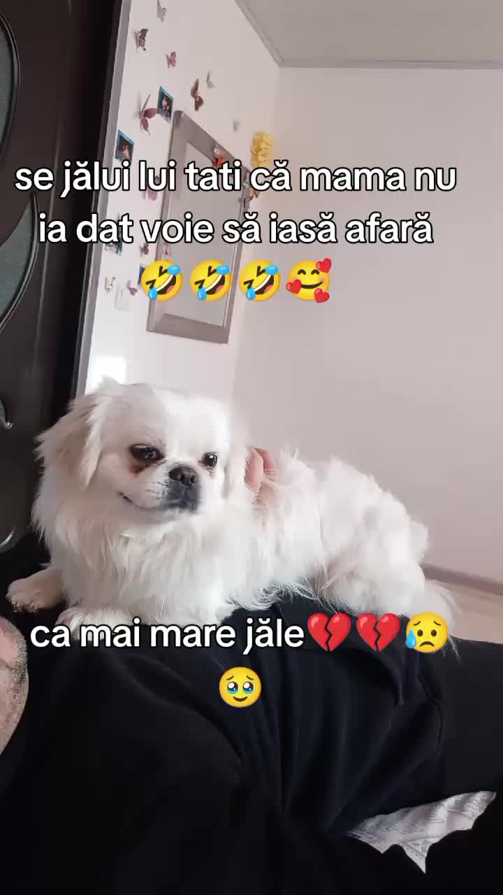 @Jacky_TikTok
