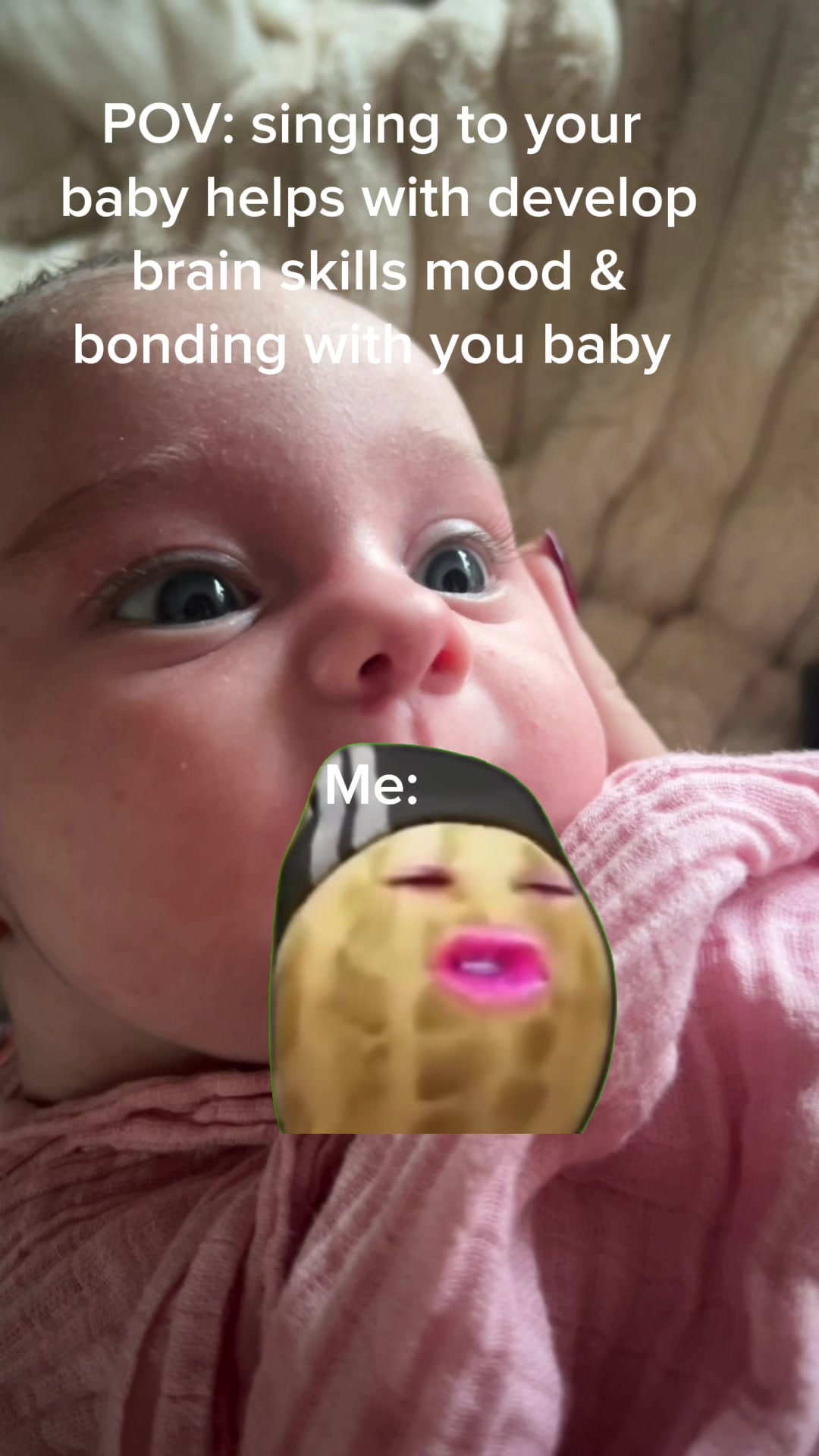 @shanbudxox