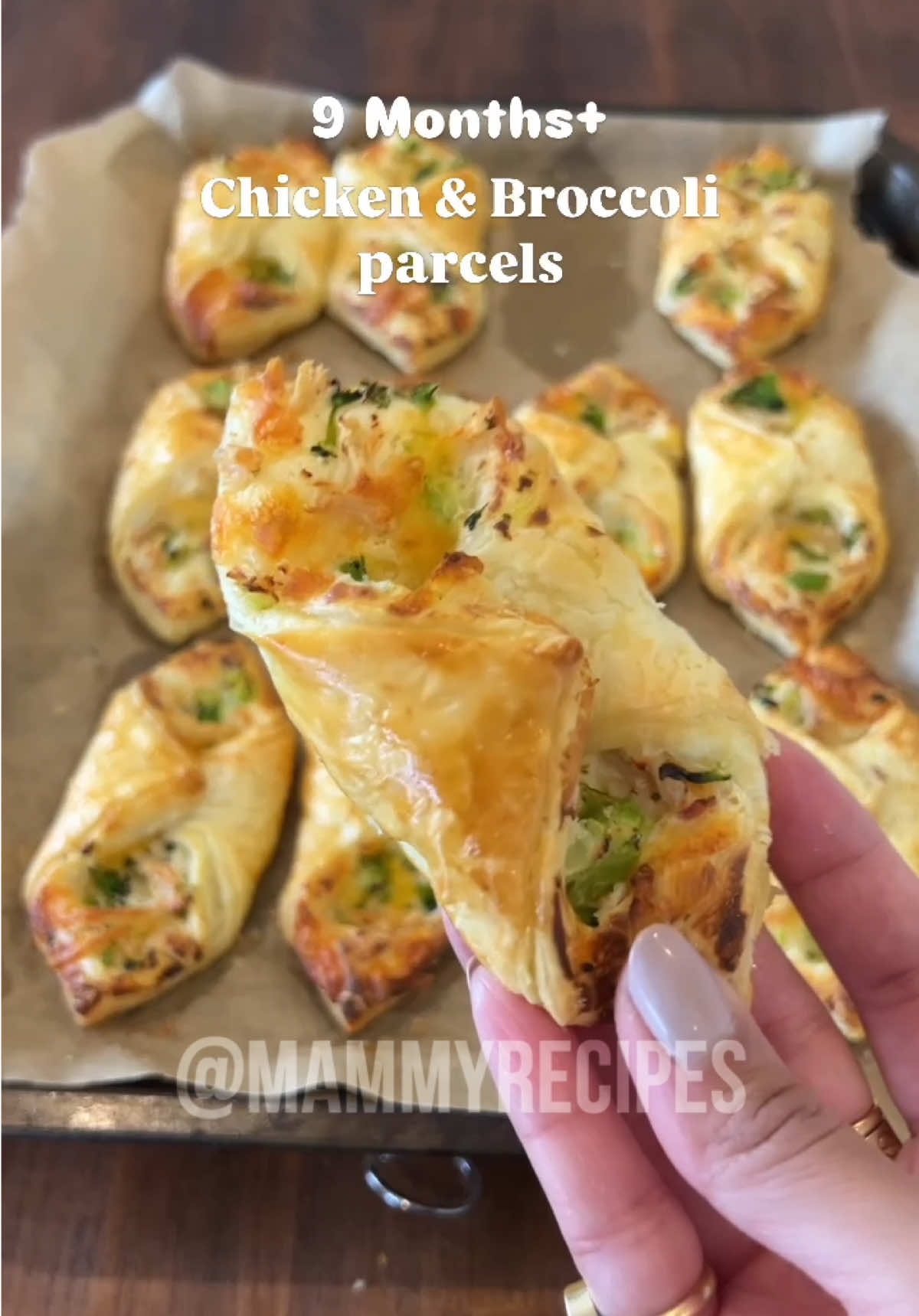 @Mammy Recipes (Anita Arora)