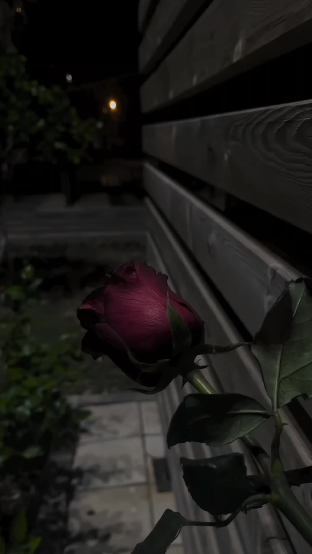 @🫡𝑯𝒂𝒋𝒊 💔 مازدیگر 🥶