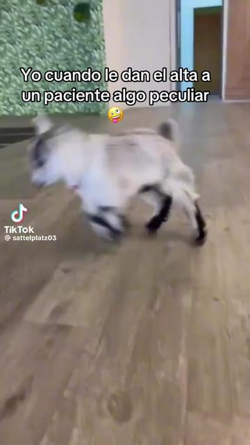 @Verónica