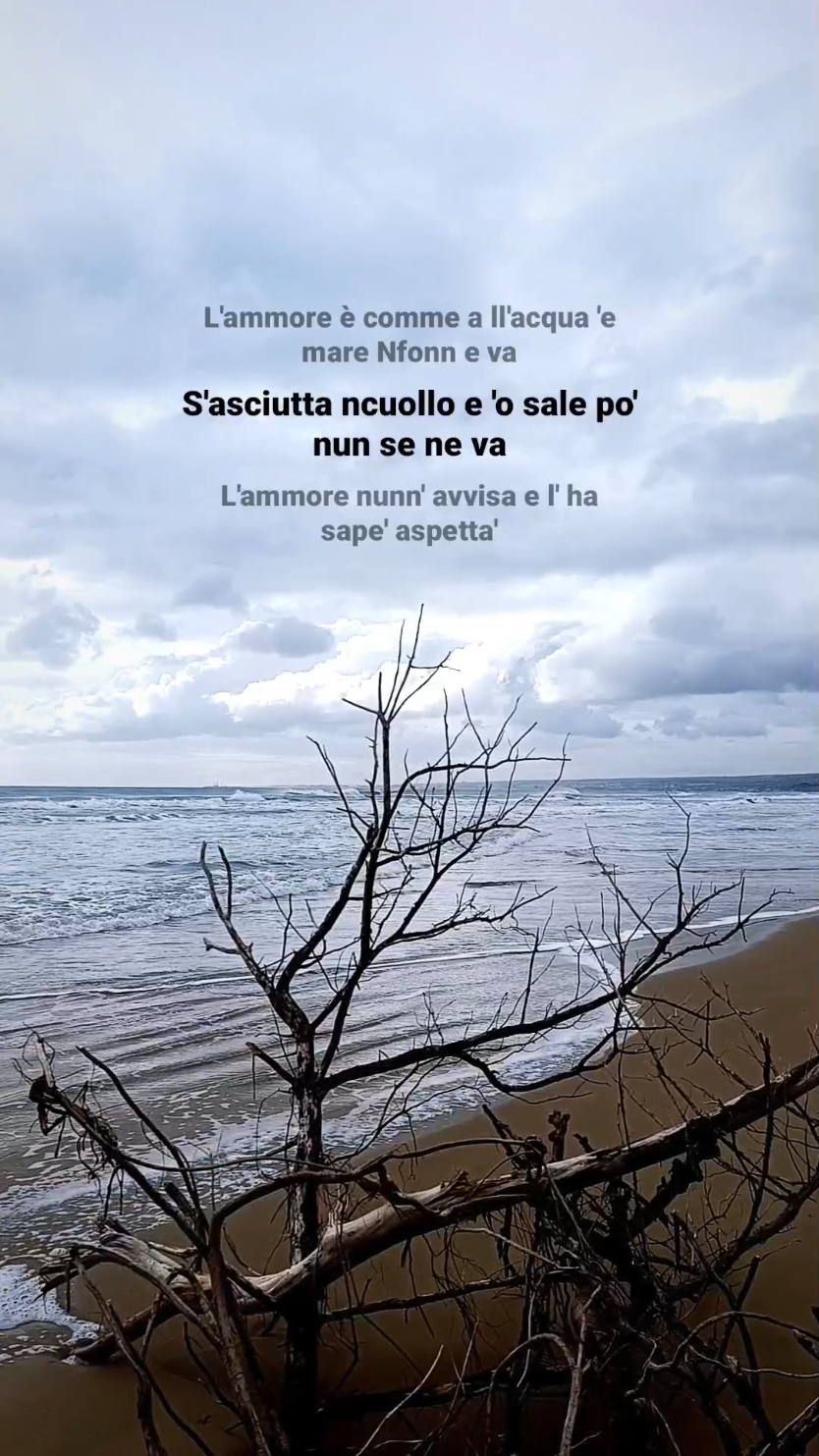 @Salvatore Di Mauro
