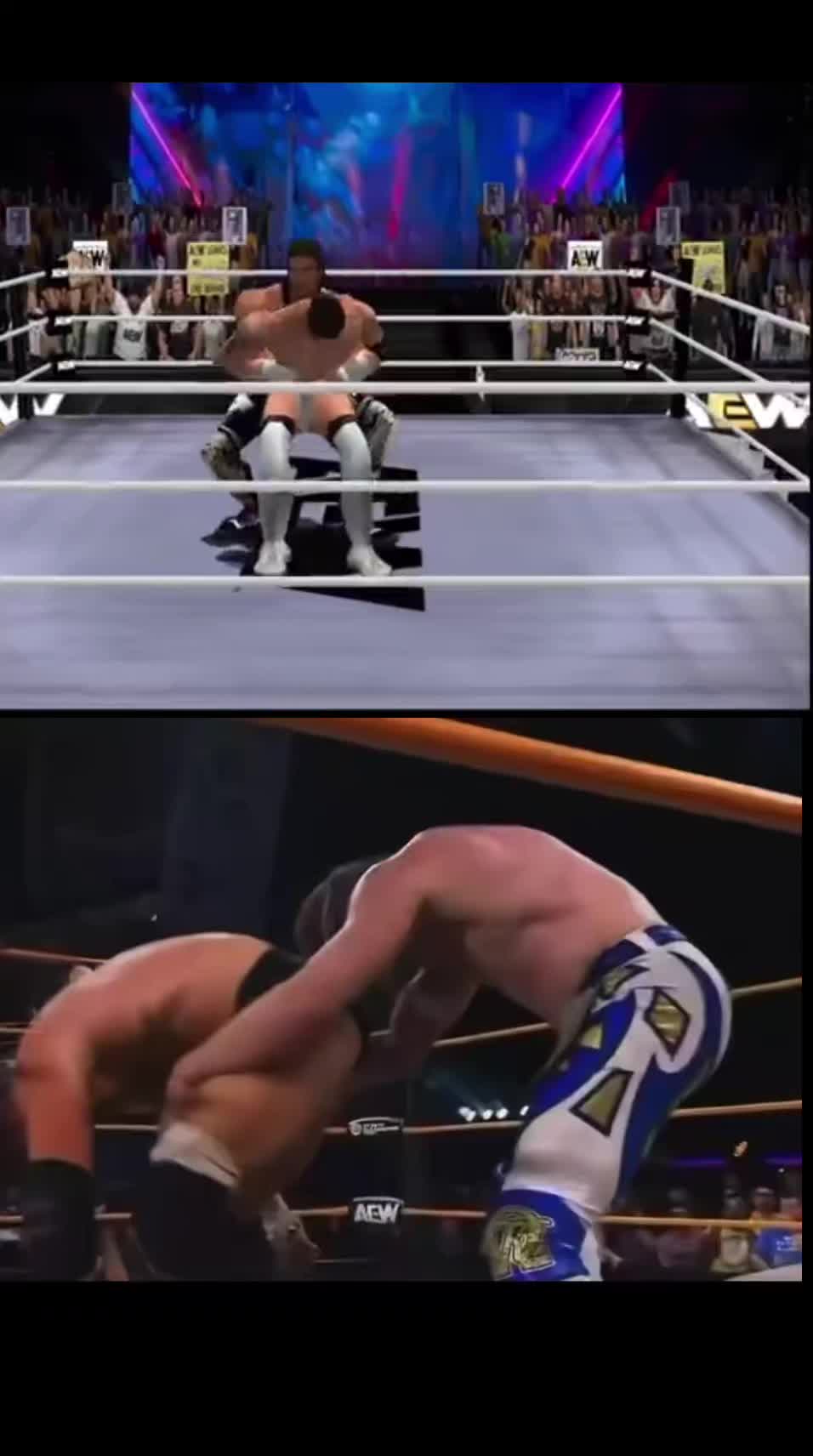 @Ultimate Wrestling Fan Warrior