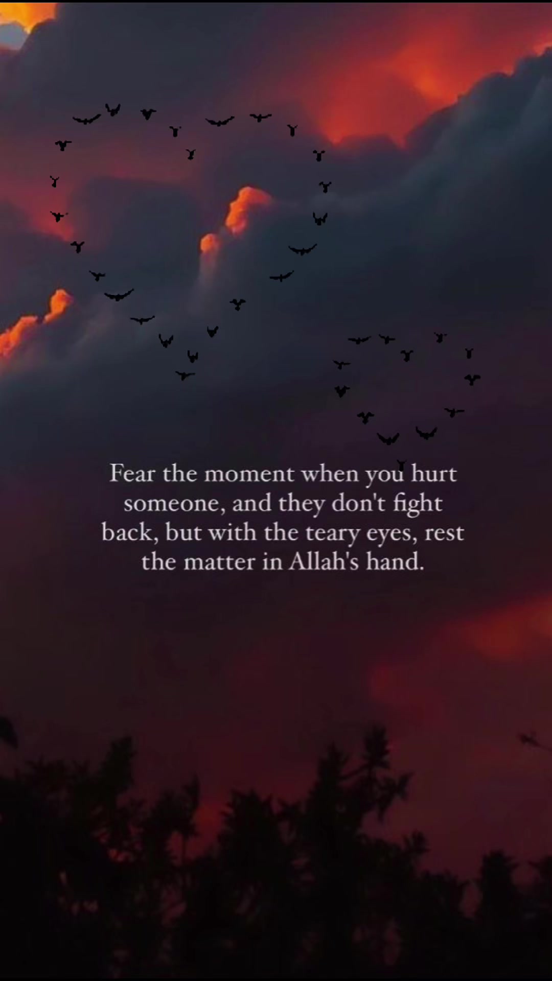 @DeenoverDunya🕊️