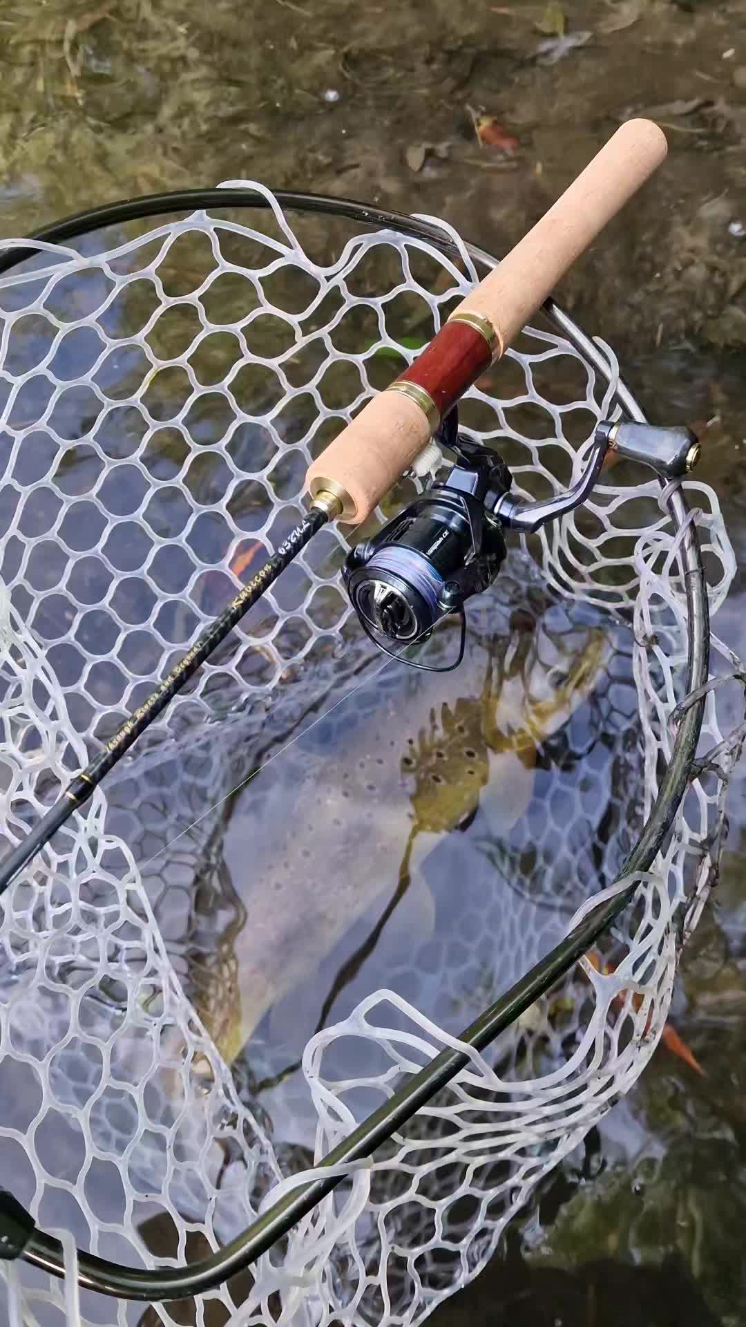 @BF Angler