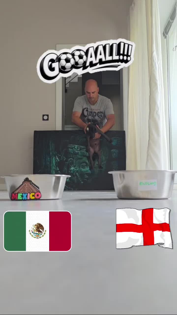 @🇭🇺 Colonia Xtravagansa 🇲🇽