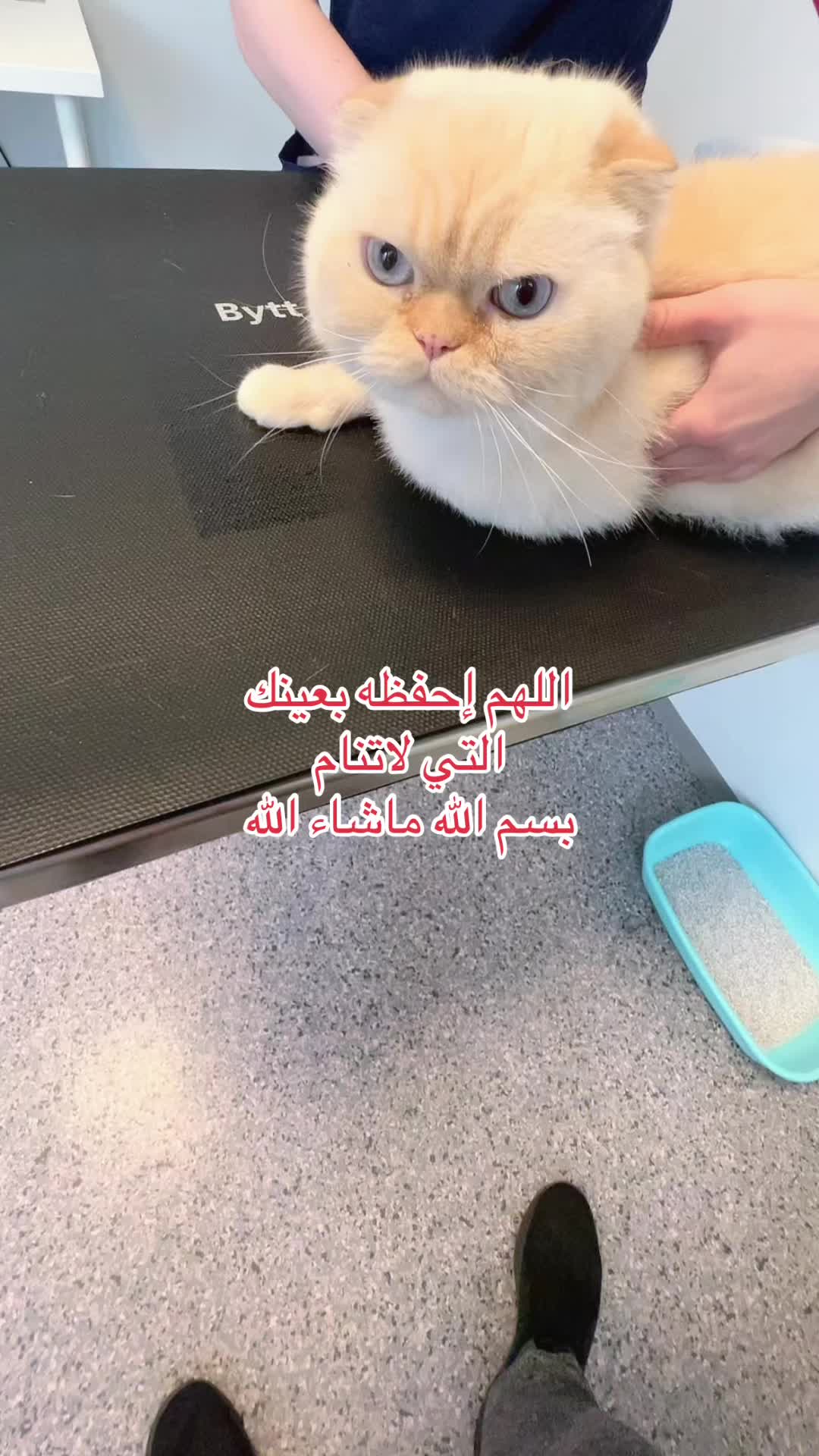 @Ibrahim😻Marius