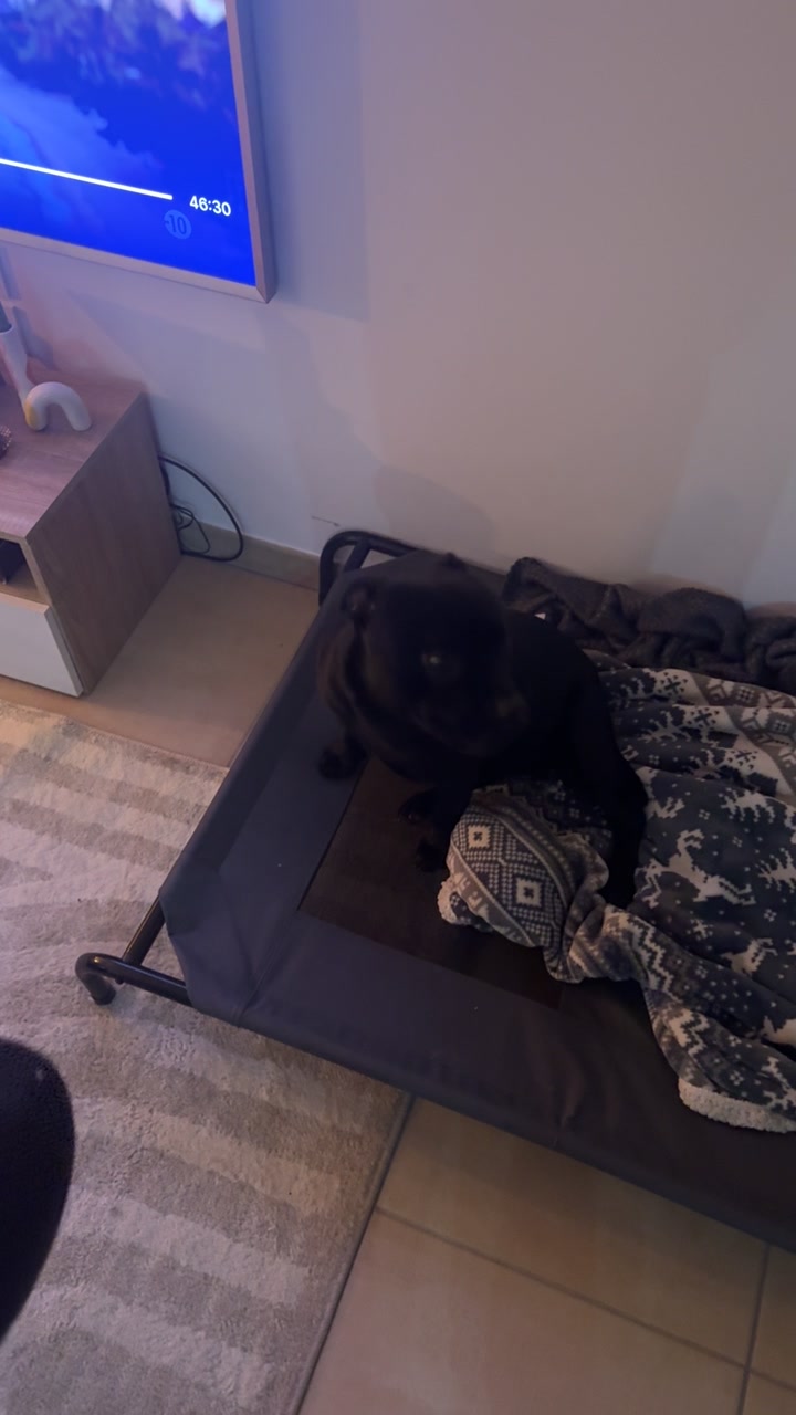 @staffie.young.tao