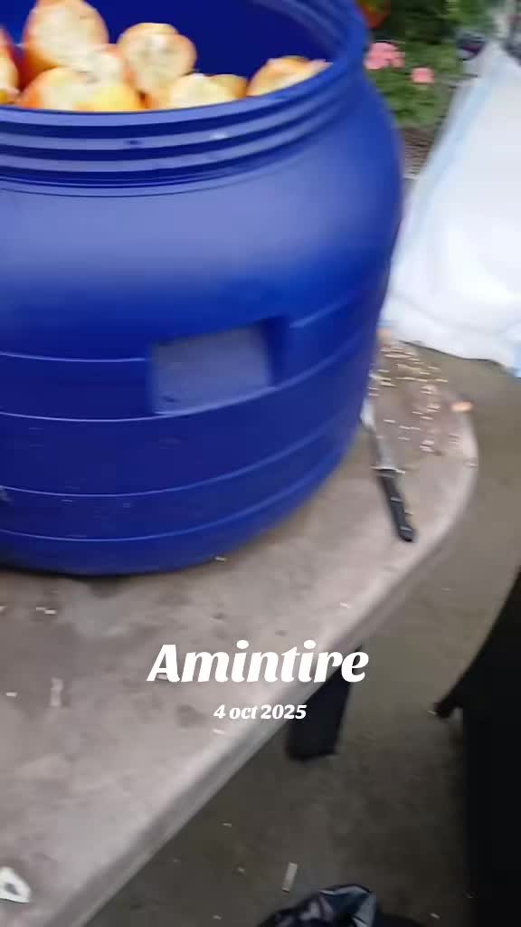 @🚍Ștefan ✅️