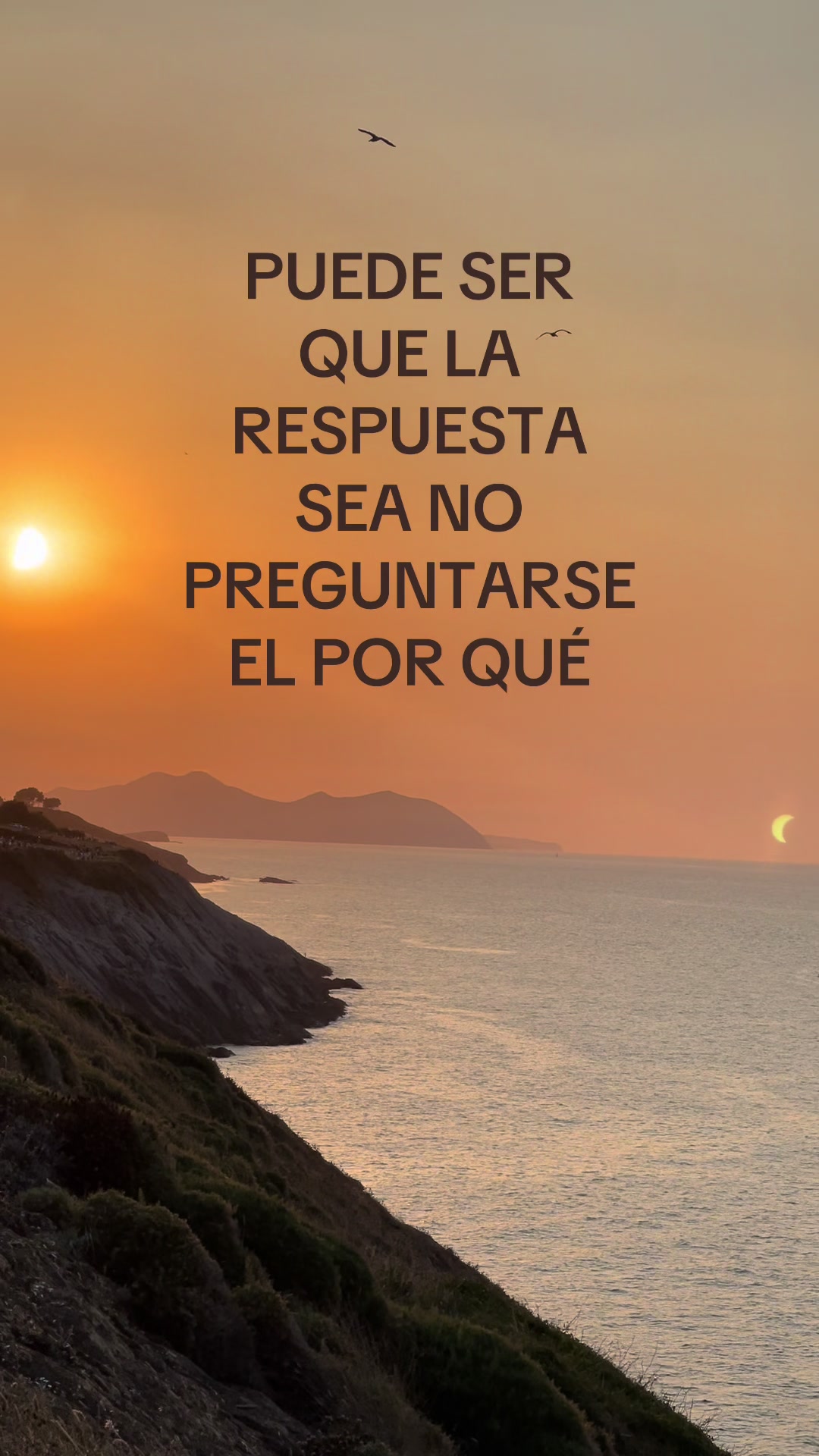 @bea.alcalde