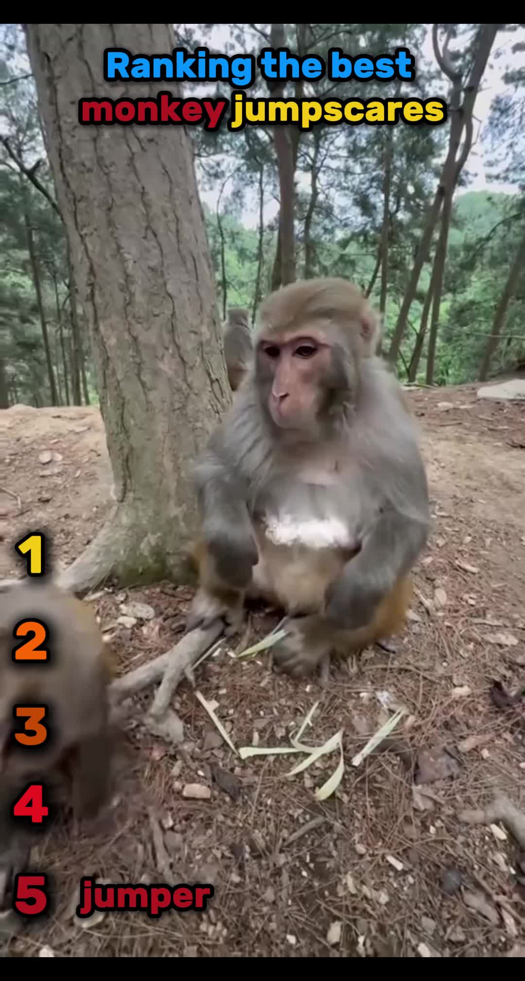 @Top5 Funny