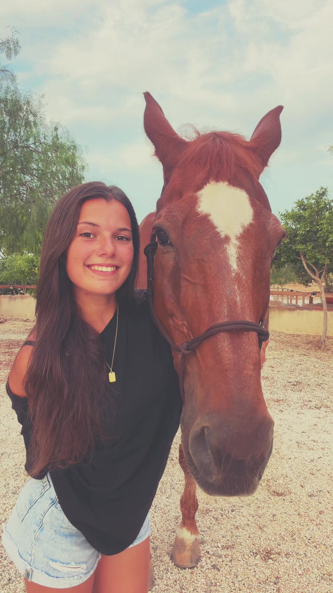 @MyHorse