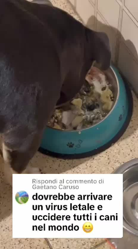 @⚠️ IL RE DEI BULLY ⚠️