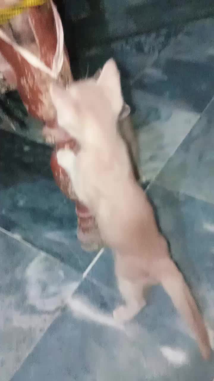 @cutecatlover8172