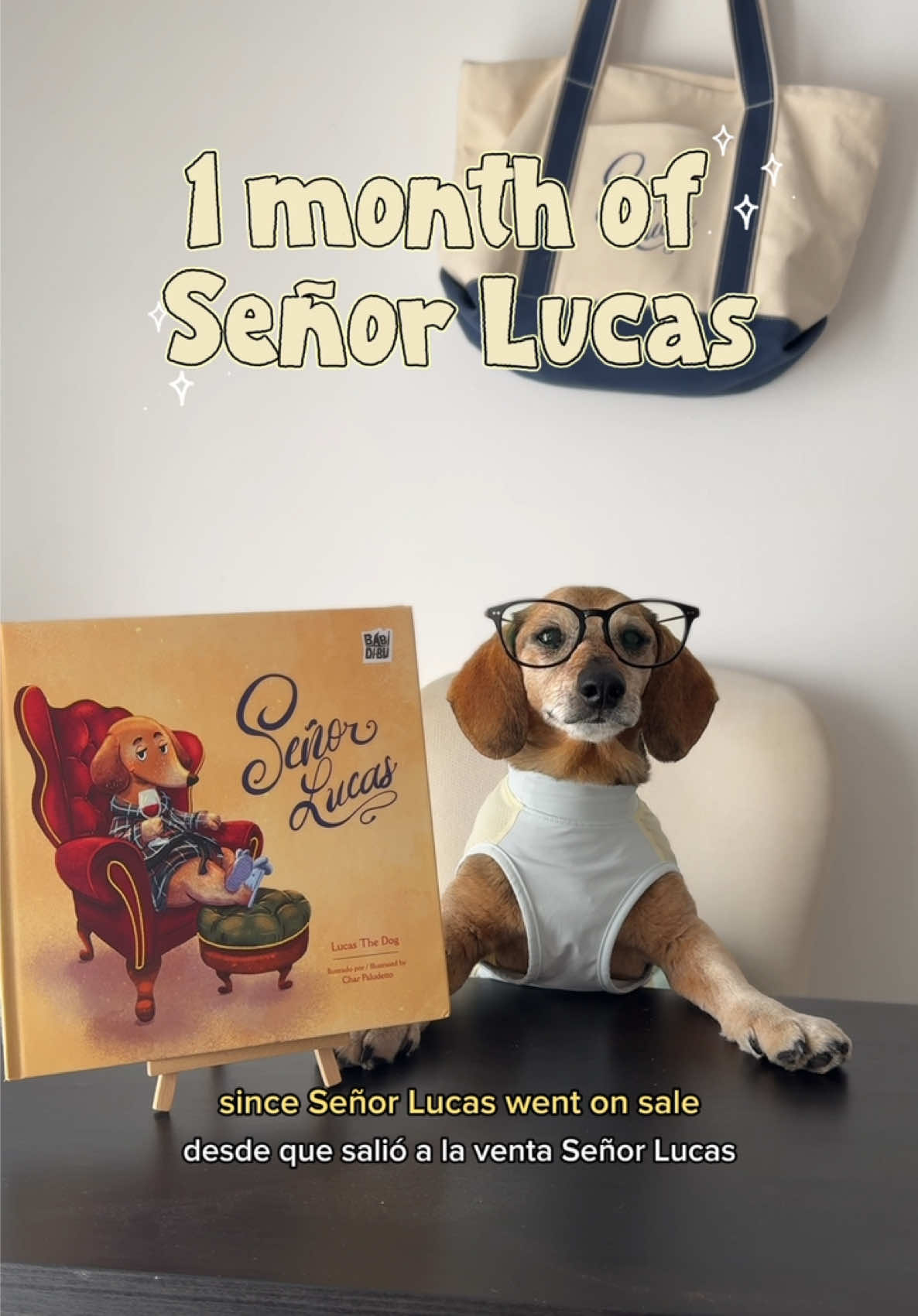 @Lucas The Dog