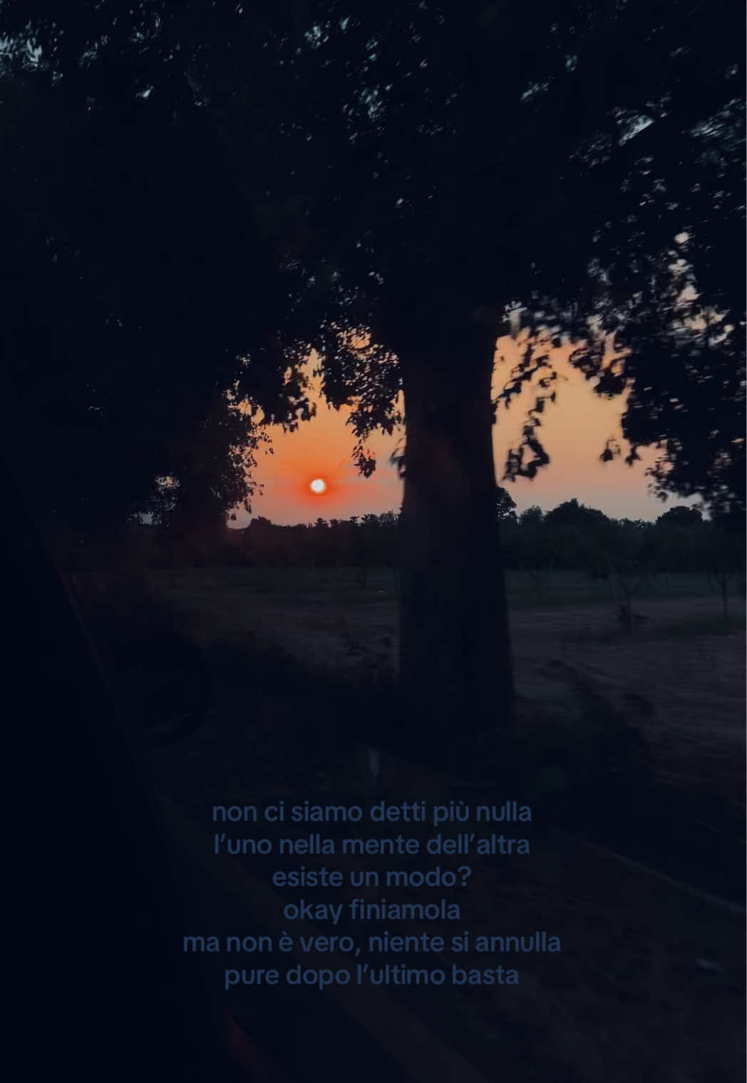 @memi🌟