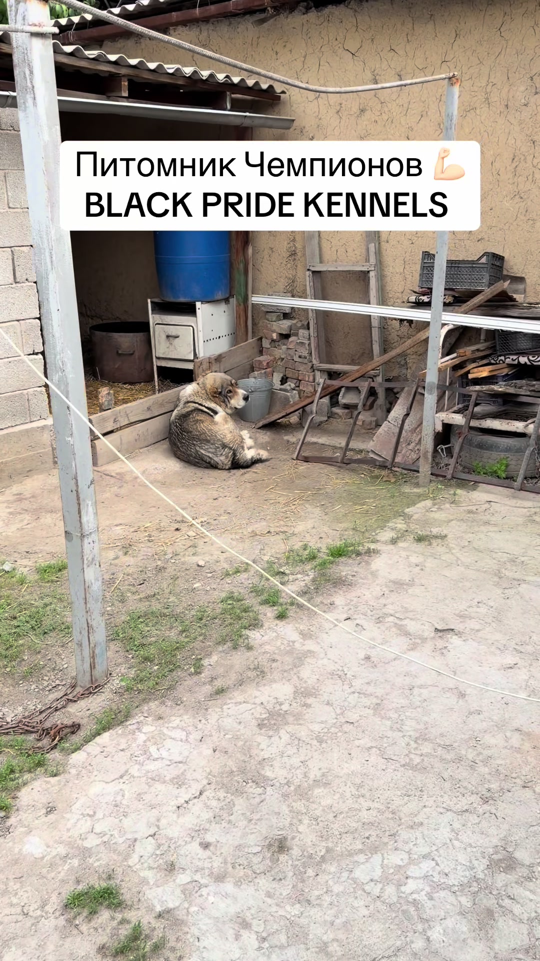 @БАЛУ