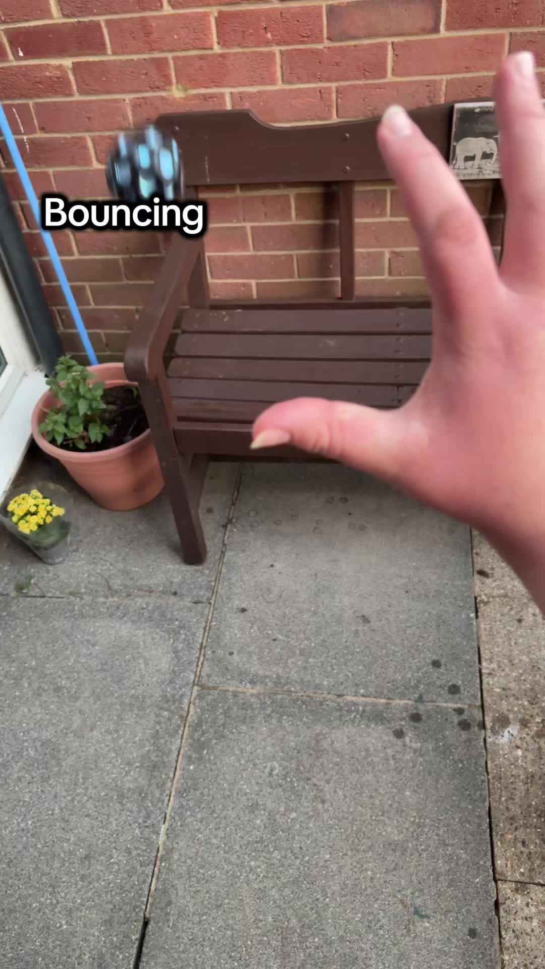@frostie