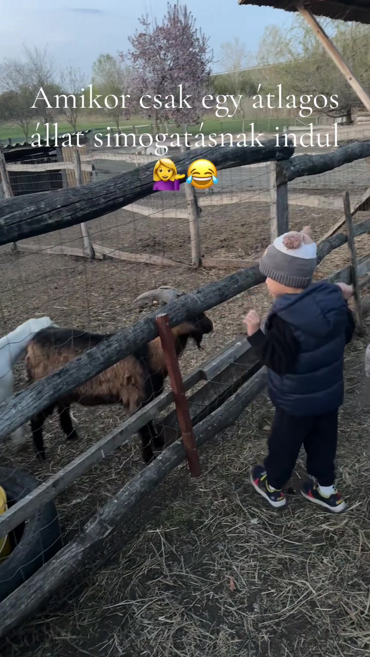 @renii.kovacs23