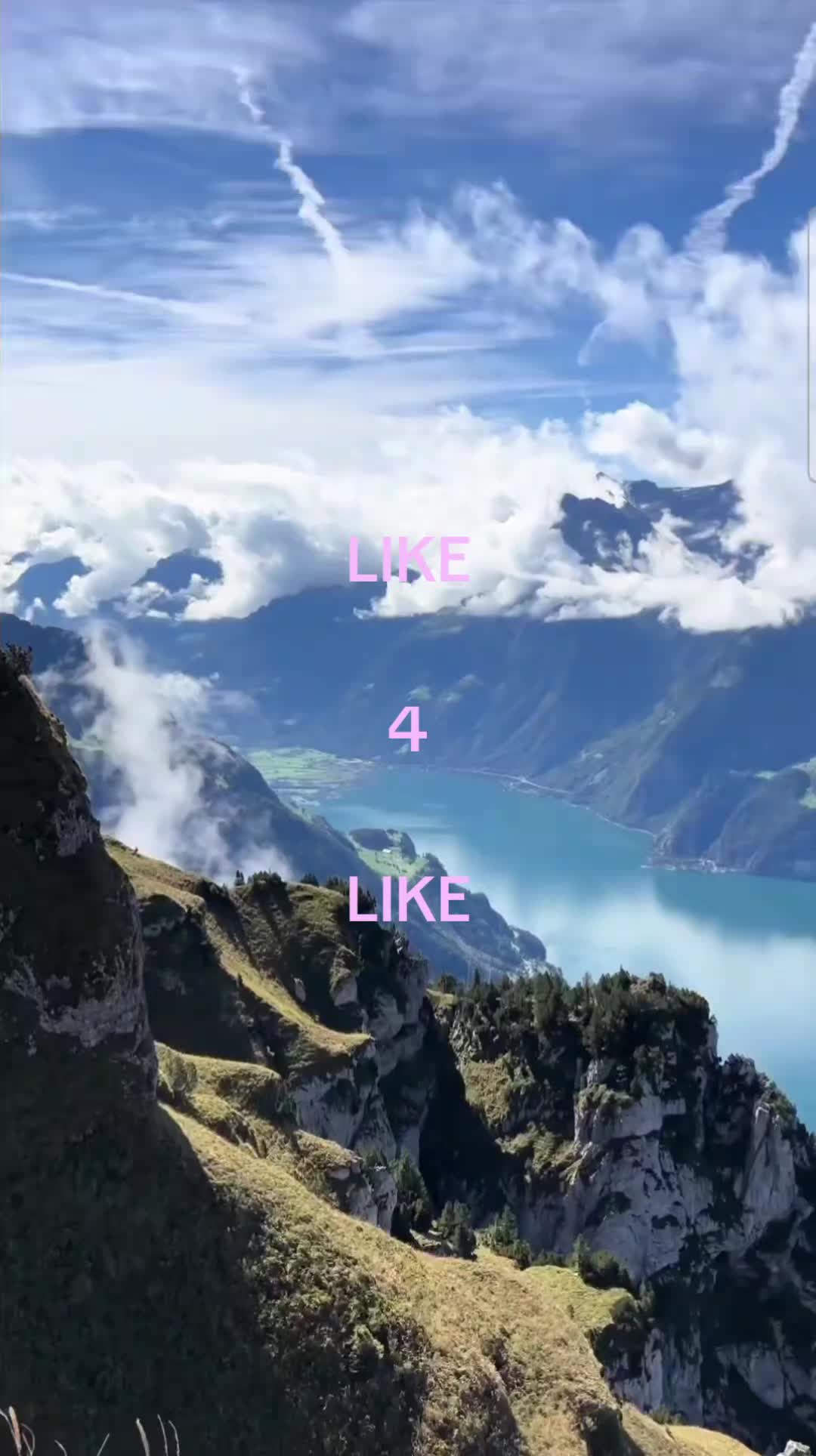 @🖤