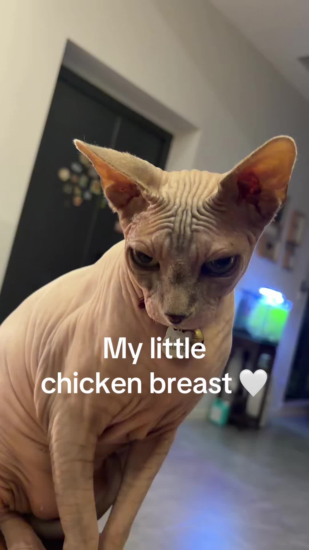 @Mimi