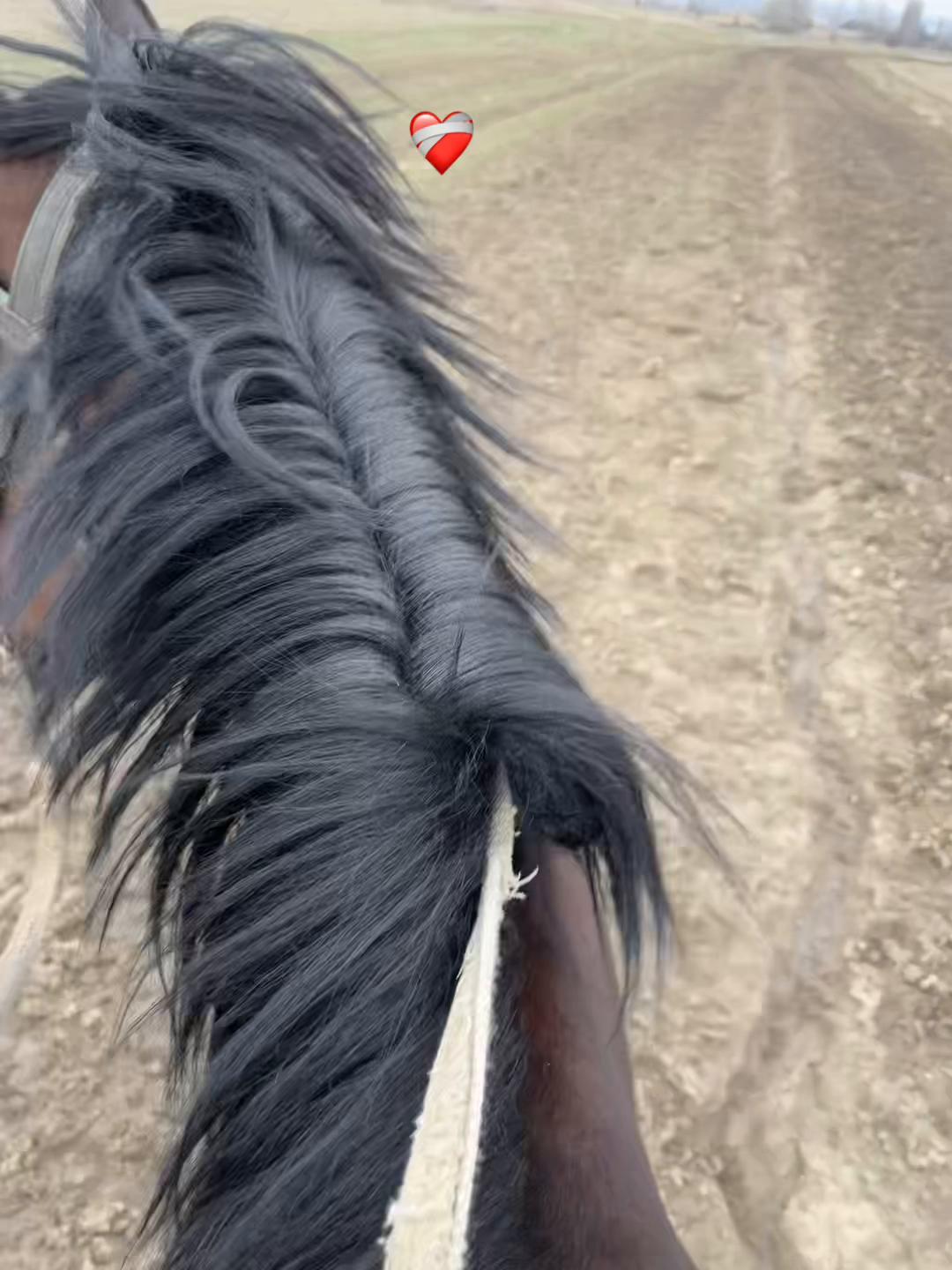 @nursssxx7🇺🇸