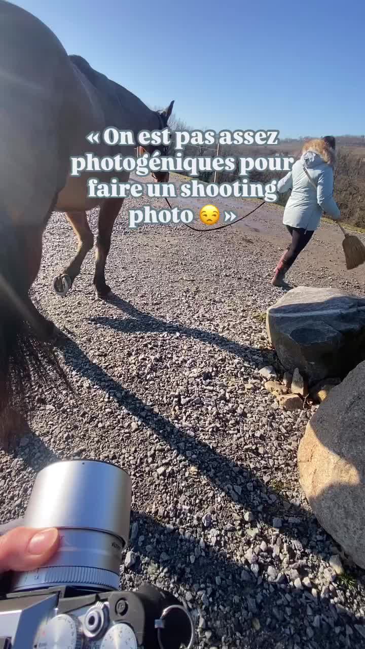 @Seren the pony 🐴