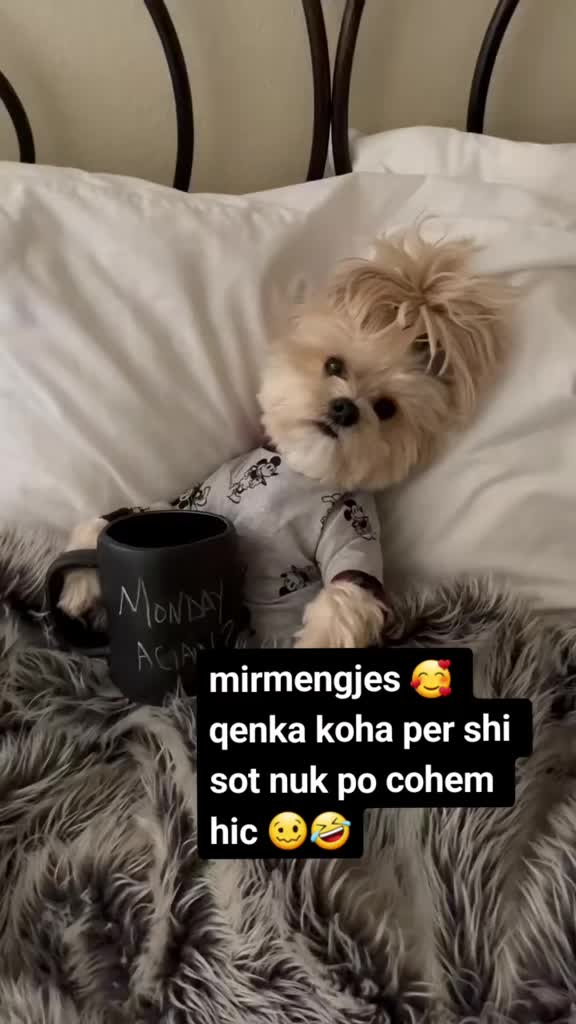 @♊ ♊♊♊♊