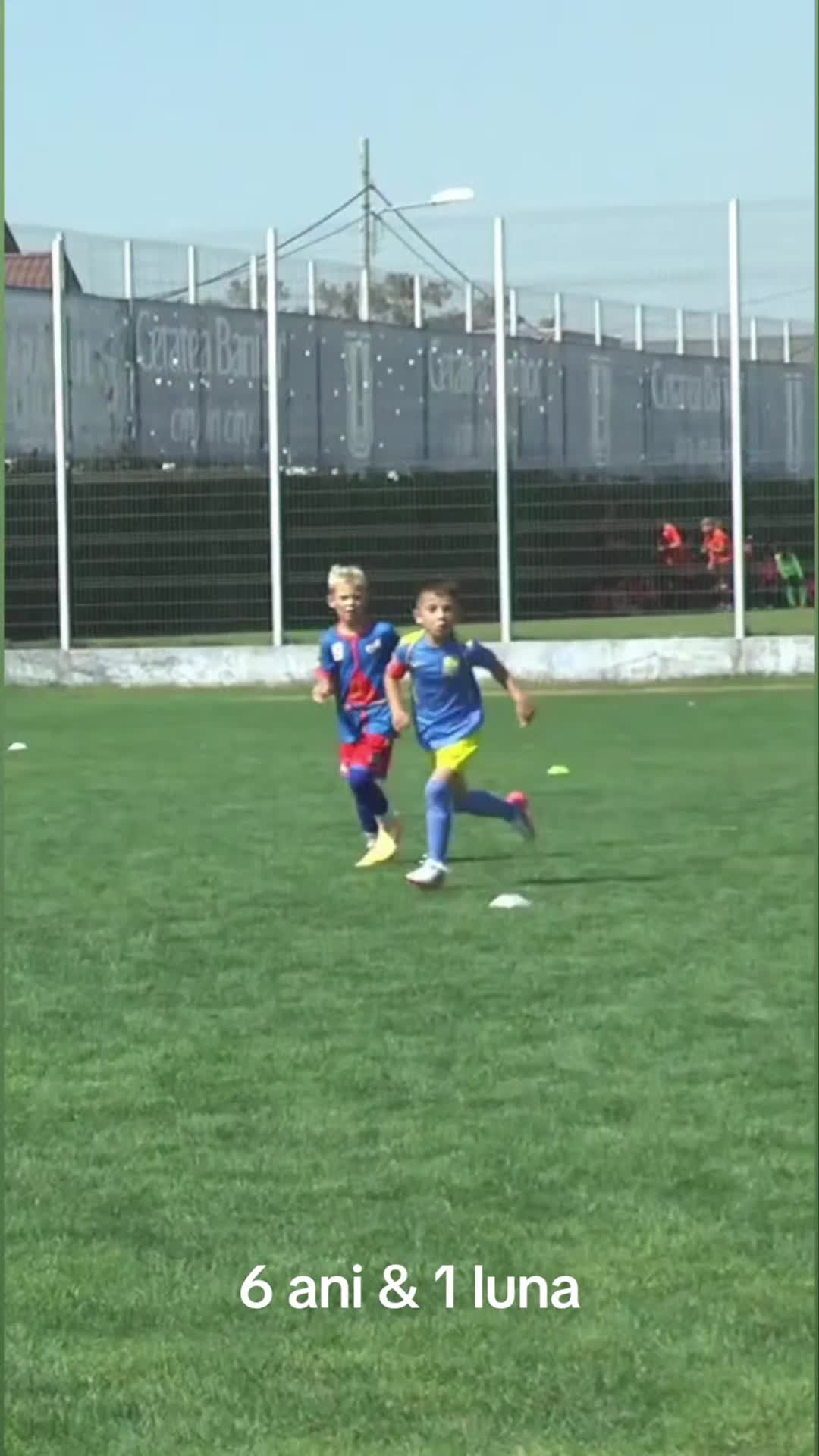 @Zian Leuţul Sudului