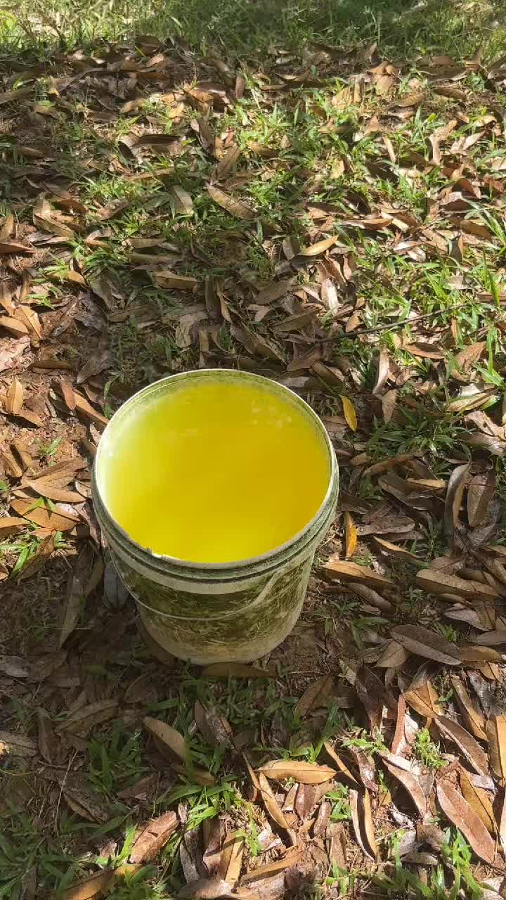 @𝑮𝑶𝑵 𝑫𝑼𝑹𝑰𝑨𝑵 𝑭𝑨𝑹𝑴