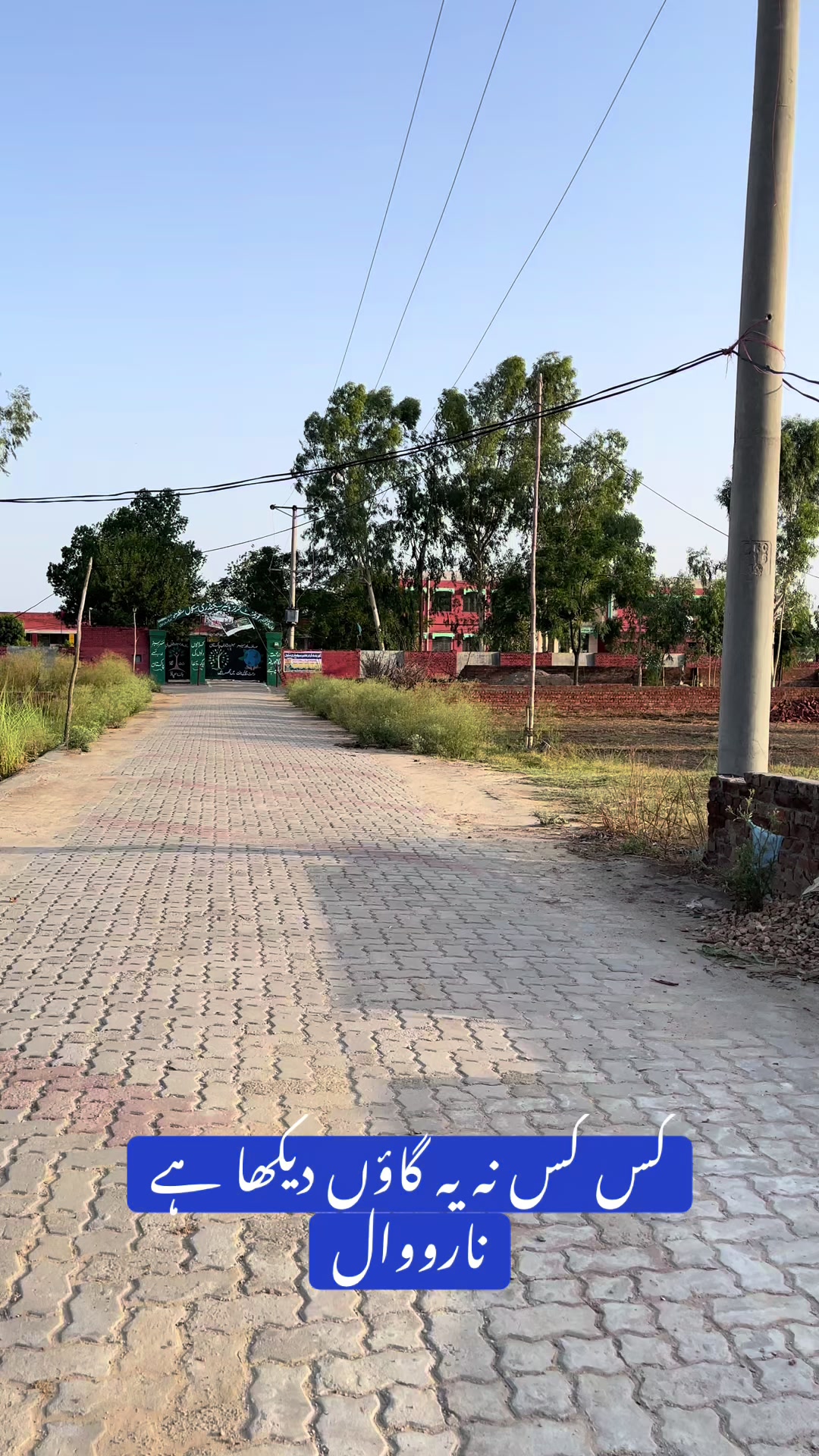@Rehab Fatima 🇵🇰