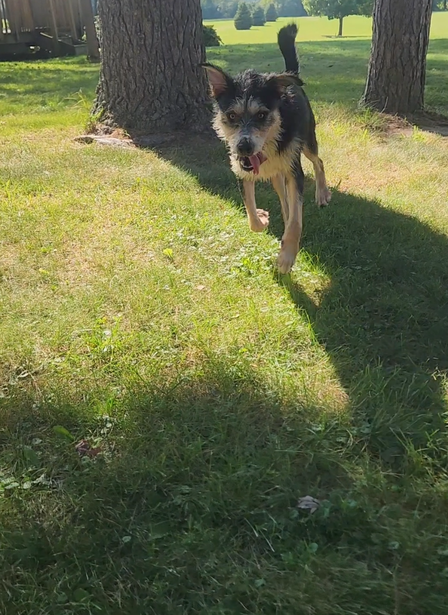 @2x2 Rescue