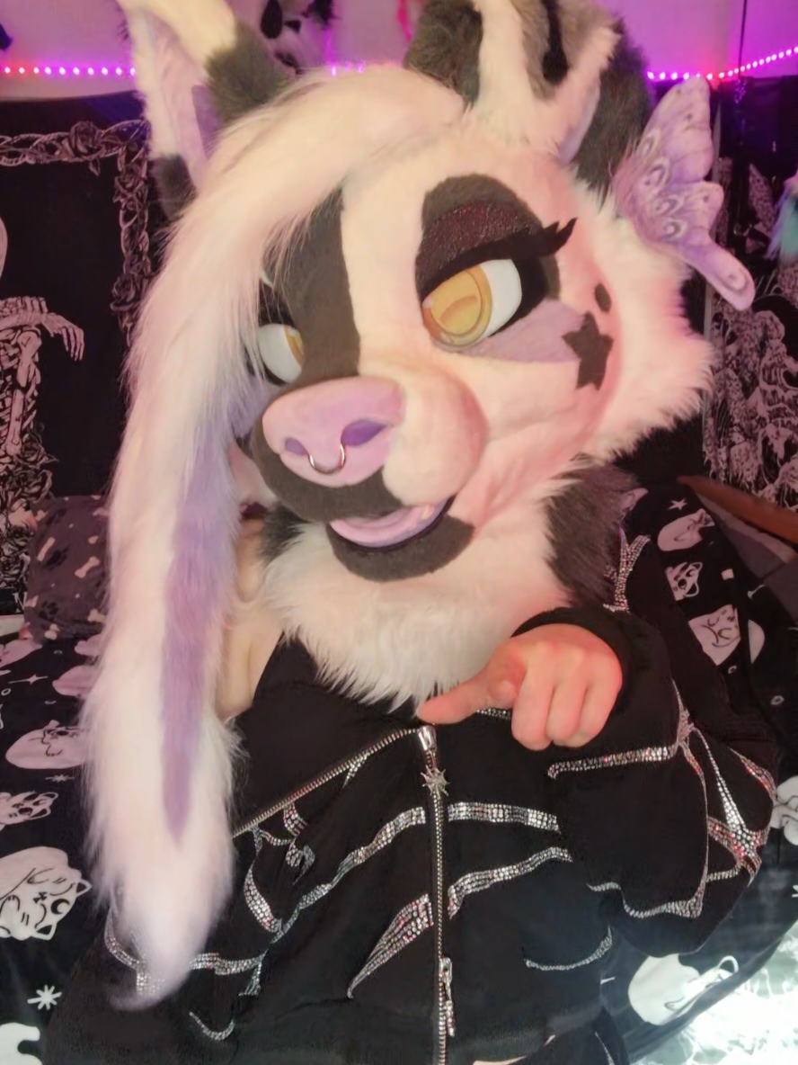 @Bailey (lilpixiekitten)