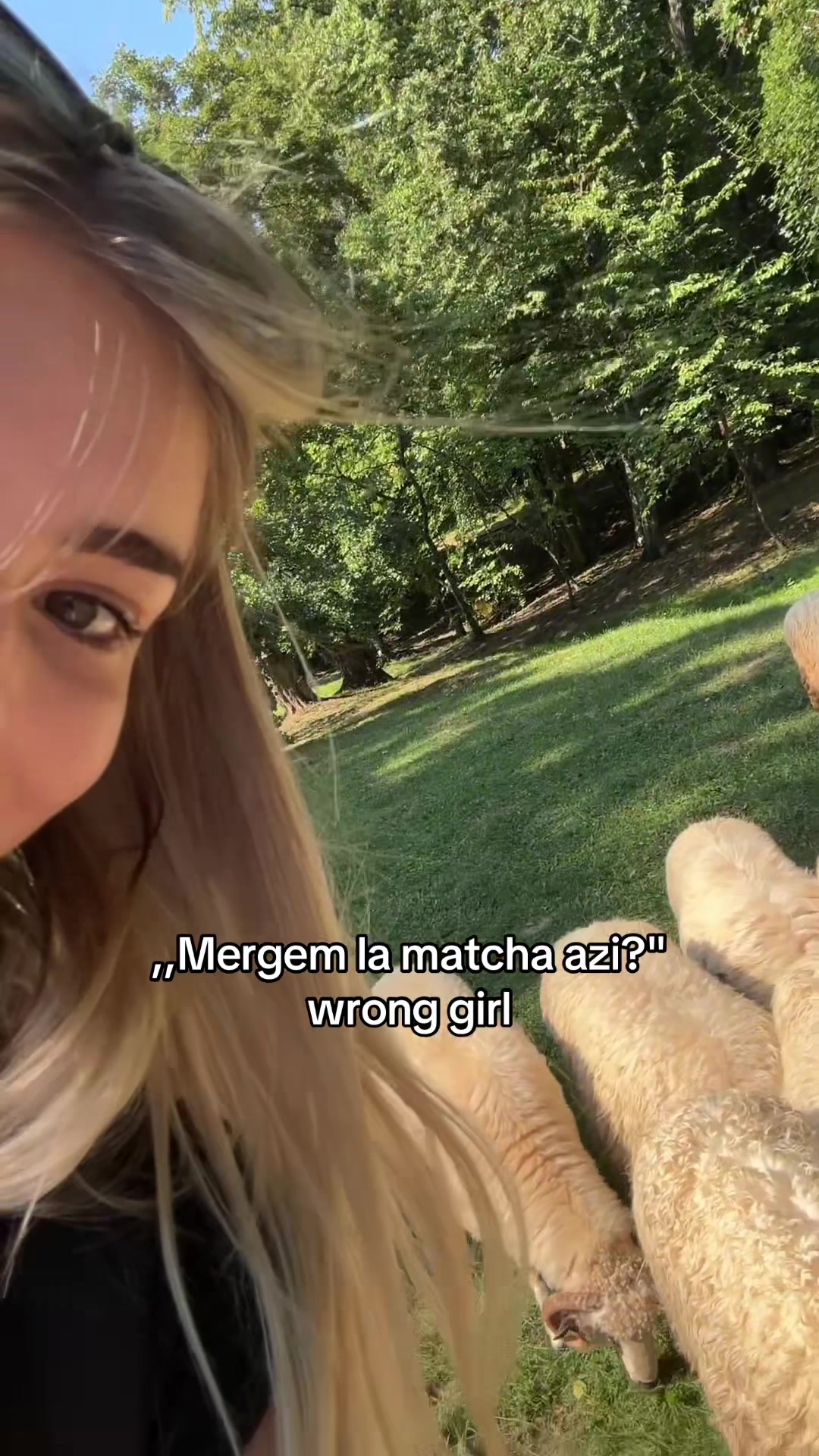 @Marta Herăscu🦋