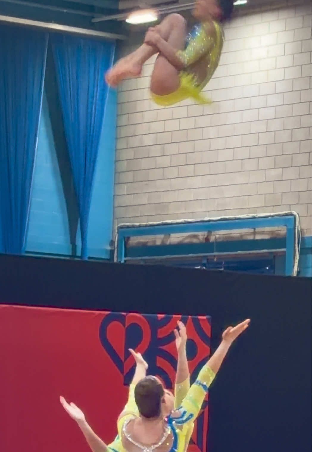 @acrogym.tv