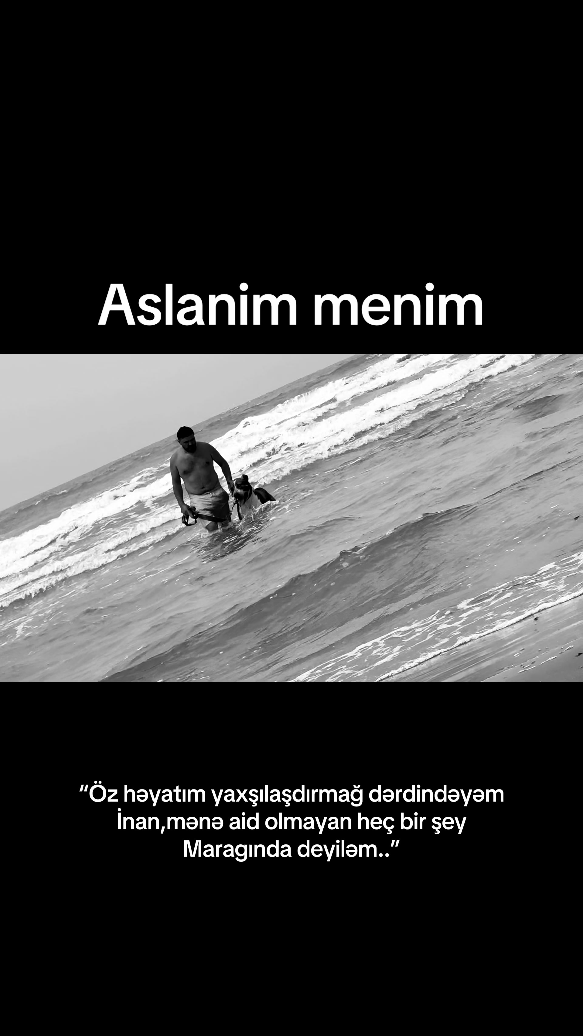 @Farid_333