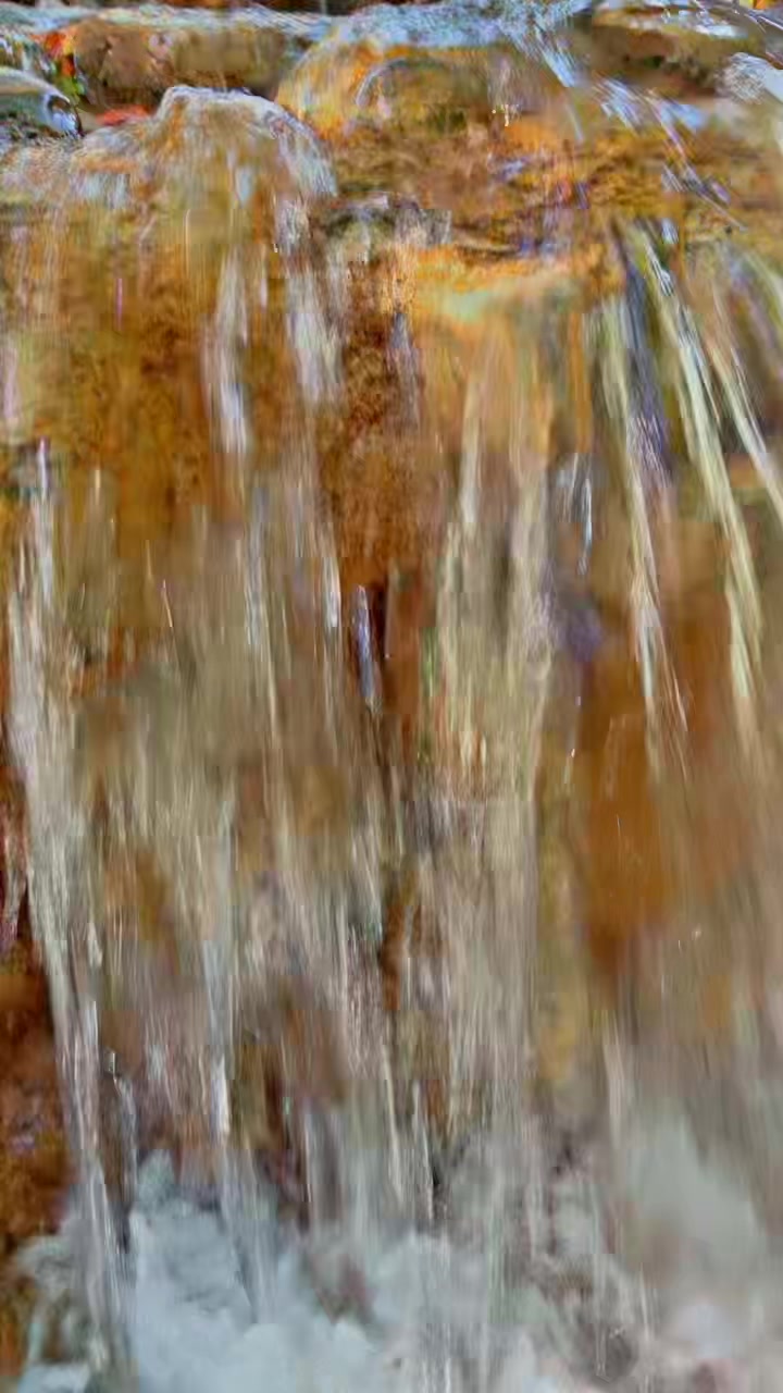 @ادم ال حسن