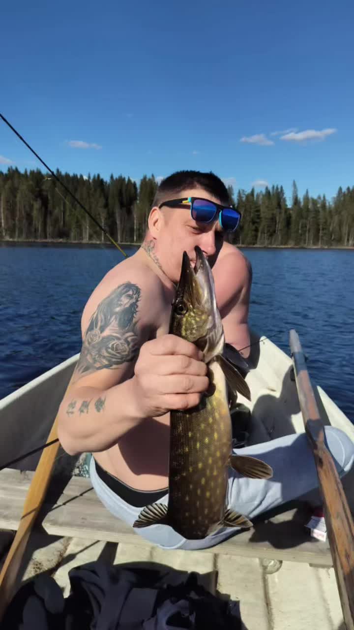 @tomipoukka