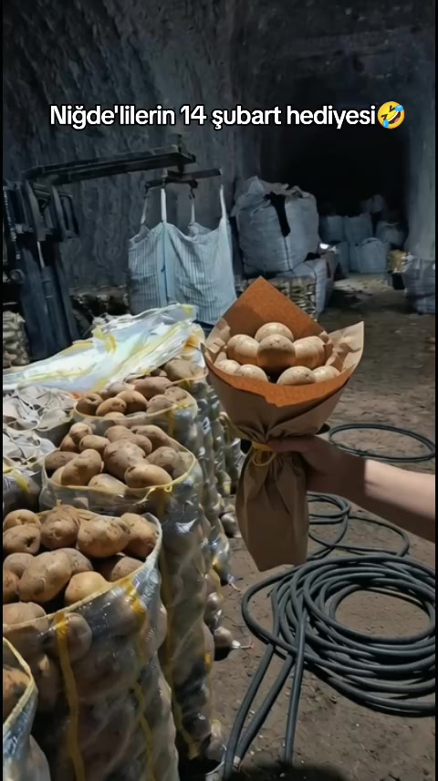 @★𝐴𝐿𝐸𝑌𝑁𝐴★
