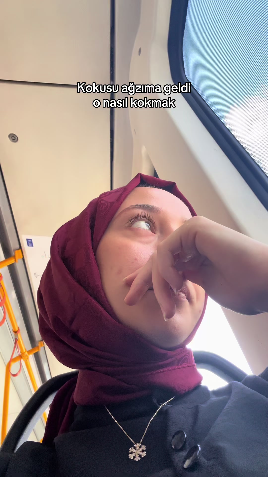 @Sevim Düzen